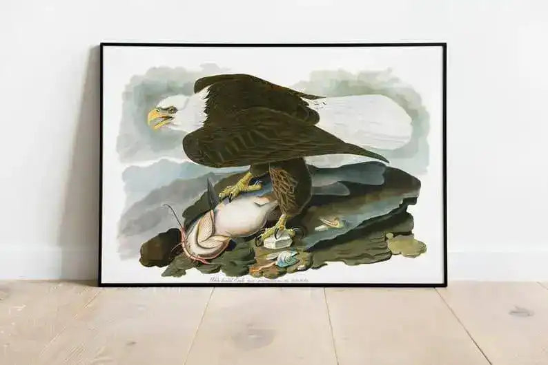 Vintage Bird Art Prints| Bird Poster