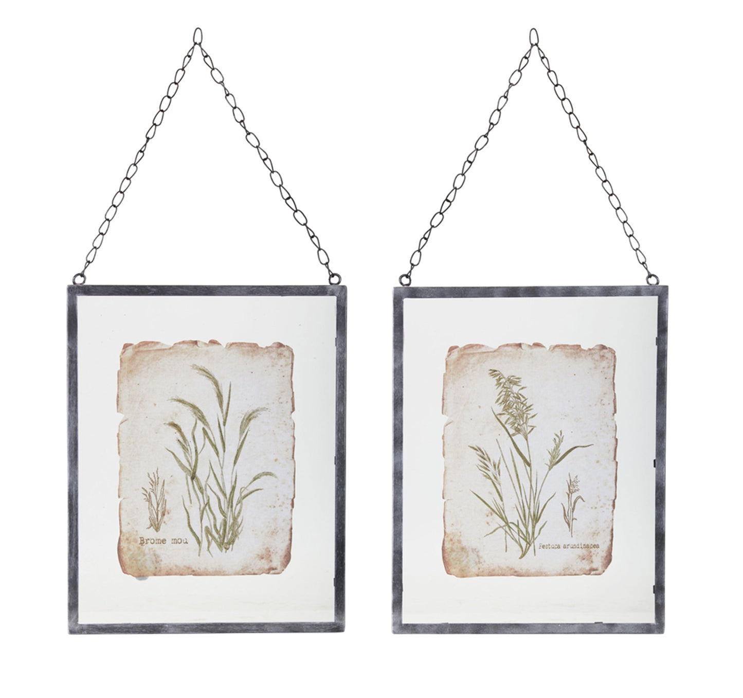 Metal Framed Grass Print (Set of 2)