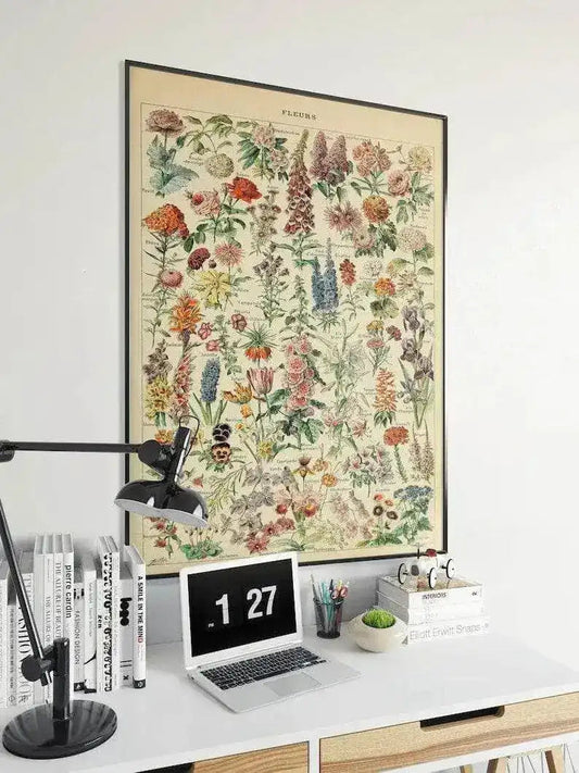 Flowers Chart| Flowers Diagram