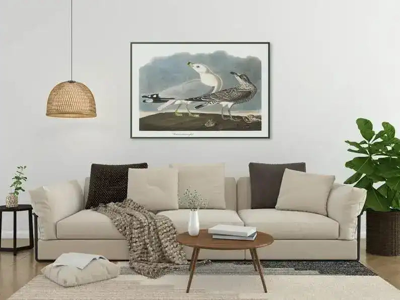 Vintage Bird Art Prints| Bird Poster