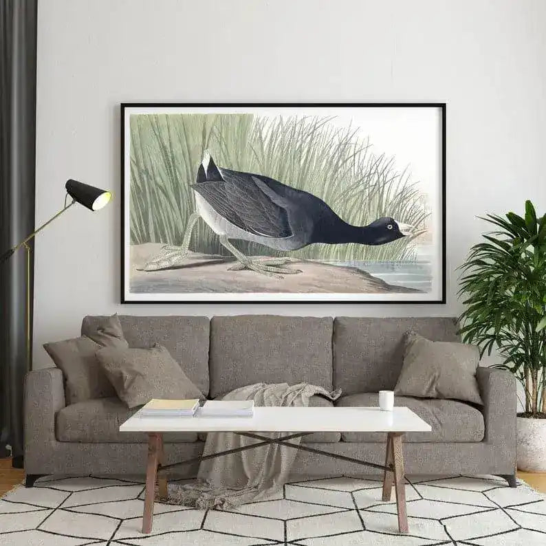 Vintage Bird Art Prints| Bird Poster